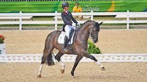 "dressage" picture