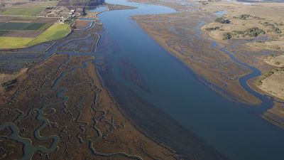"estuary" picture