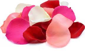 "petal" picture