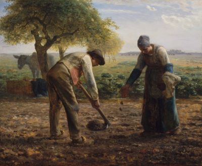 "peasant" picture