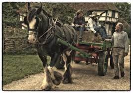 "carthorse" picture