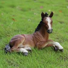 "colt" picture