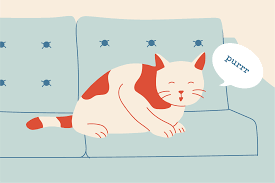 "purr" picture
