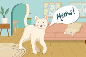 "meow" picture