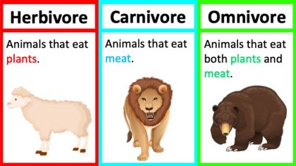 "omnivore" picture
