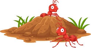 "anthill" picture