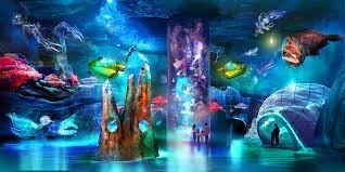"oceanarium" picture