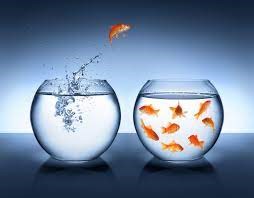 "fishbowl" picture