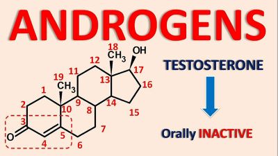 "androgen" picture