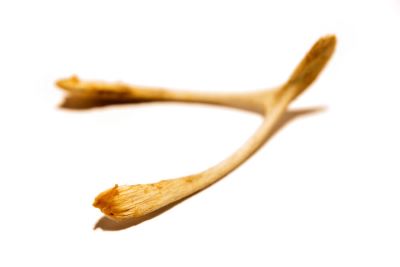 "wishbone" picture