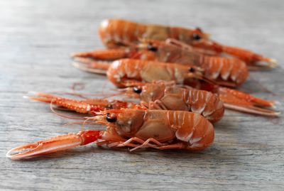 "langoustine" picture