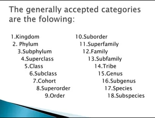 "subgenus" picture
