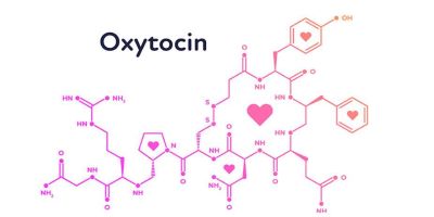 "oxytocin" picture
