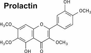 "prolactin" picture