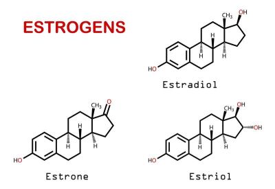 "estrogen" picture