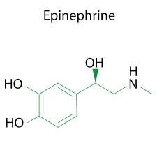 "epinephrine" picture