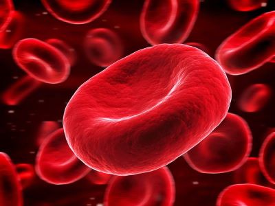 "erythrocyte" picture