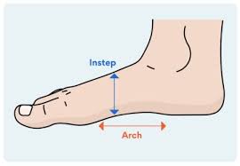"instep" picture