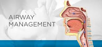 "airway" picture