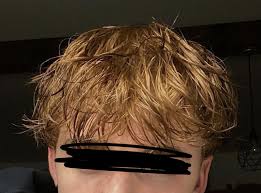 "thatch" picture