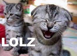 "lolz" picture