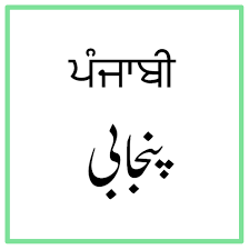 "punjabi" picture