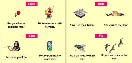 "homonym" picture