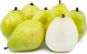 "d'Anjou pear" picture