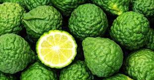 "bergamot" picture