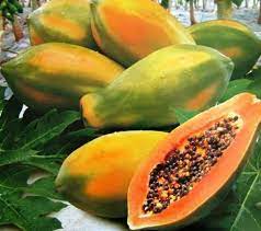 "pawpaw" picture