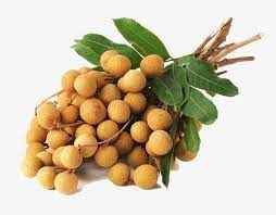 "longan" picture