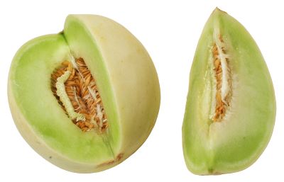 "honeydew melon" picture