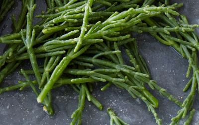 "samphire" picture