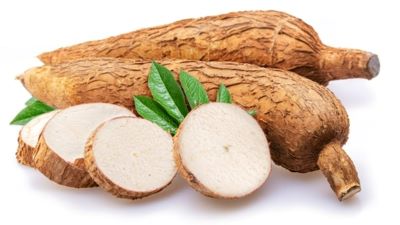 "cassava" picture