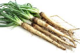 "salsify" picture