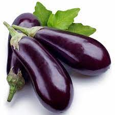 "brinjal" picture