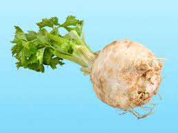 "celeriac" picture