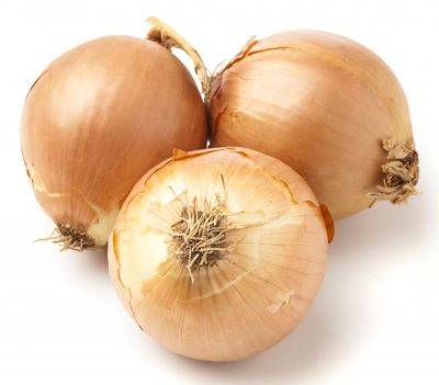 "Spanish onion" picture