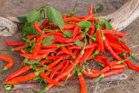 "piri-piri" picture