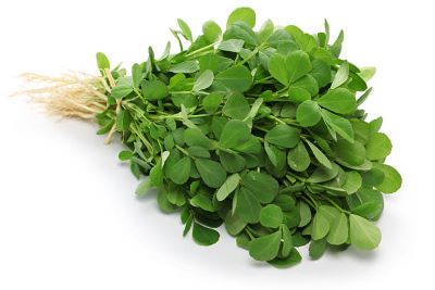 "fenugreek" picture