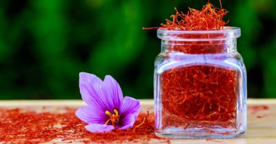 "saffron" picture
