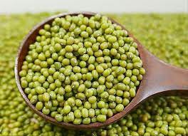 "mung bean" picture