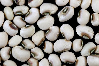 "cowpea" picture