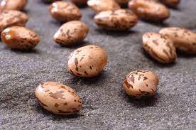 "pinto bean" picture
