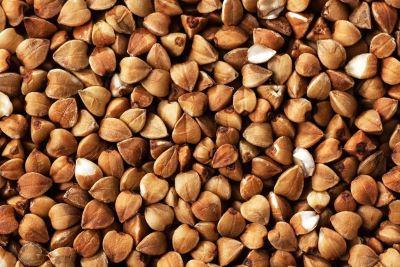 "buckwheat" picture