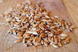 "spelt" picture