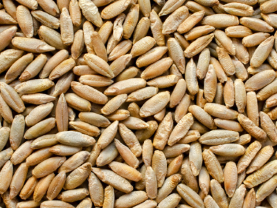 "rye" picture