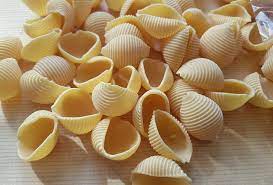 "conchiglie" picture