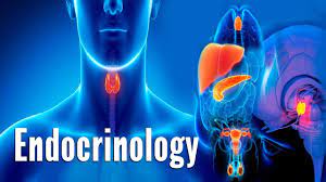 "endocrinology" picture