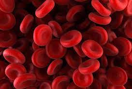 "hematology" picture